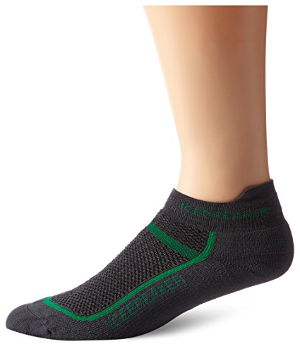 Icebreaker Men's Multisport Light Cushion Micro Socks