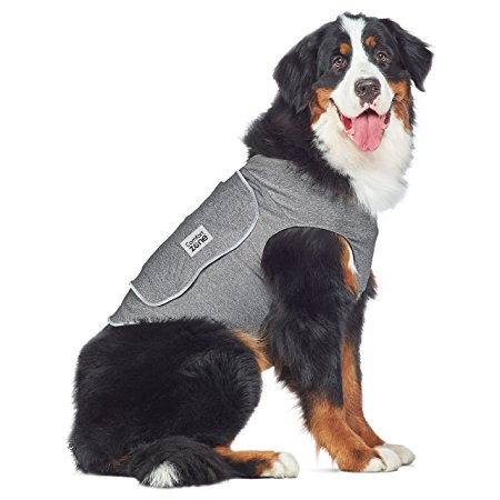 Comfort Zone Calming Vests for Dogs, For Thunder and Anxiety