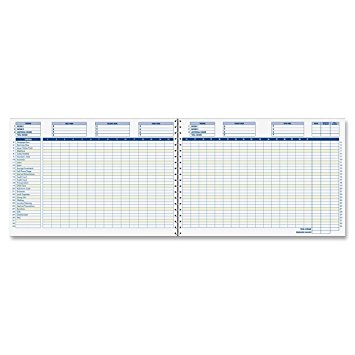 Adams Home Office Budget Book, Weekly/Monthly Format, 10 x 7 Inches, White (AFR31)