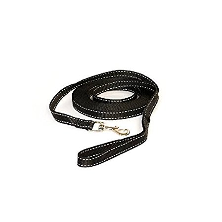 Pet Champion 20' Training Leash