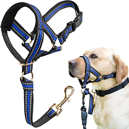 Dog Head Collar, No Pull Stylish Head Halter for Heavy Pullers, Gentle Dog Face Harness Stops Pet Pulling and Choking on Walks for Medium Large Aggressive Dogs