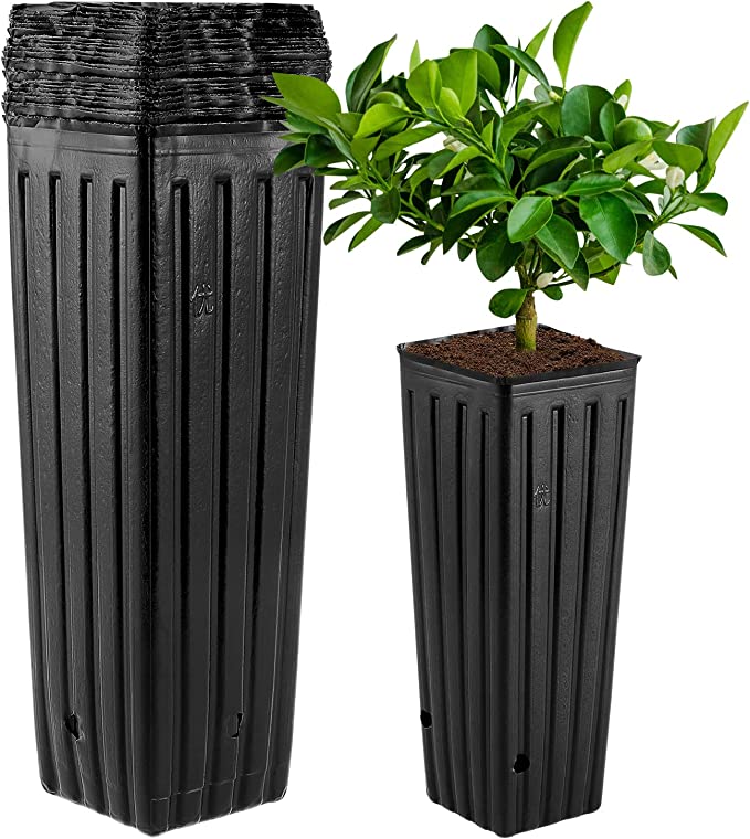 DOITOOL 50Pcs Plastic Nursery Bags for Plants, Tall Seedling Flower Plant Container Starting Pots, Flower Pot Container Bonsai Holder Succulent Planter with Drainage for Plant Growing (Black)