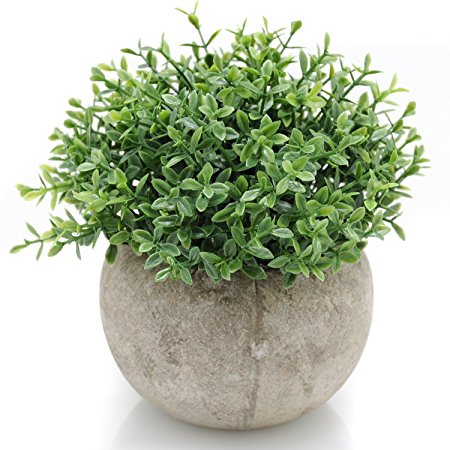 Velener Mini Plastic Artificial Plants Benn Grass in Pot for Home Decor (Green)