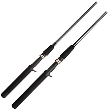 Shimano FXC Heavy 2 Piece Casting Rod (6-Feet 6-Inch, Medium)