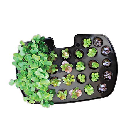 AeroGarden Seed Starting System (Classic  Harvest)