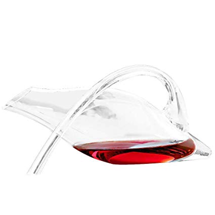 Wine Enthusiast Break-Resistant Fusion Duck Decanter