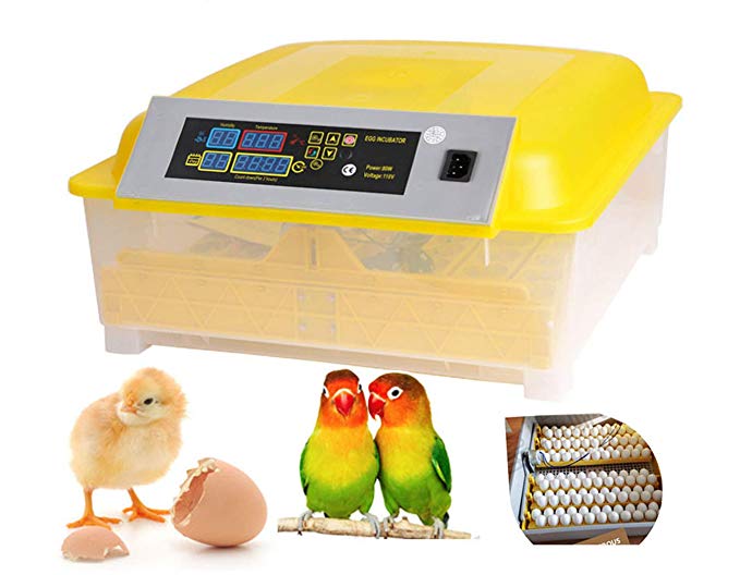 Aceshin Automatic 48 Digital Egg Incubator Turning Temperature Control, Poultry Hatcher for Chickens Ducks Goose Birds (US Stock)