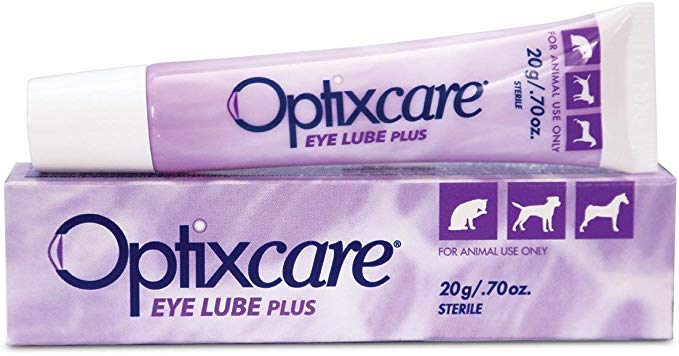 Optixcare Eye Lube Plus, 20gm