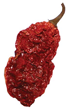 Wicked Tickle 10 Whole Ghost Pepper Dried Intact Seed Pods Plus 2 Free, Super Hot