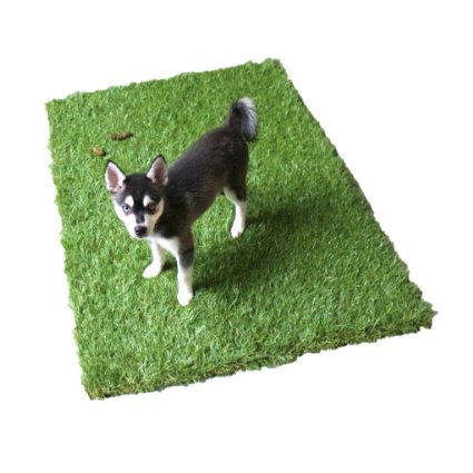 Golden Moon Pet Grass Mat Series PE Artificial Turf Antibacterial Pet Potty Trainer Indoor Outdoor Replacement Pet Grass Mat