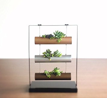 Vertical Garden Succulent Cactus Small Plants Herb Planting Cylinder System Unique Gift Decor (Metal Base)