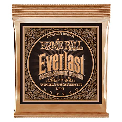 Ernie Ball Everlast Light Coated Phosphor Bronze Acoustic Guitar Strings - 11-52 Gauge