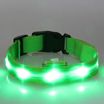 Dog Collar Silicone LED Flashing Lights Lightweight - WalGap (TM)