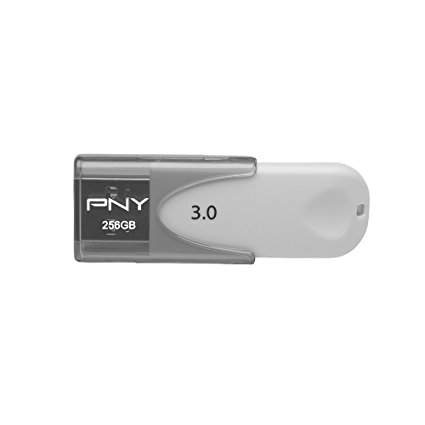 PNY FD256ATT430-EF 256 GB USB Flash Drive