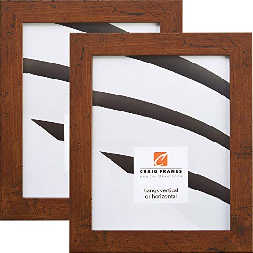 Craig Frames FM26WA 24 x 32 Inch Picture Frame, Dark Brown, Set of 2