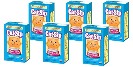(6 Pack) Cat Sip Real Milk Treat for Cats and Kittens, 8 Ounces each