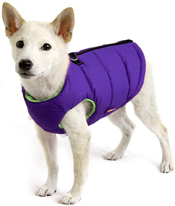 Gooby Dog Vest