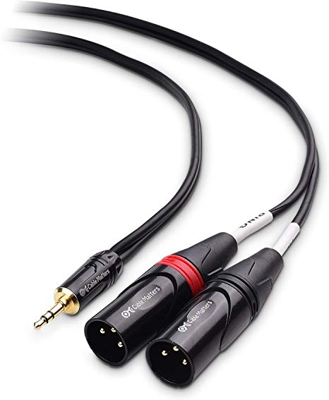 Cable Matters 3.5mm 1/8 Inch TRS to 2 XLR Cable, Male to Male Aux to Dual XLR Breakout Cable - 10 Feet