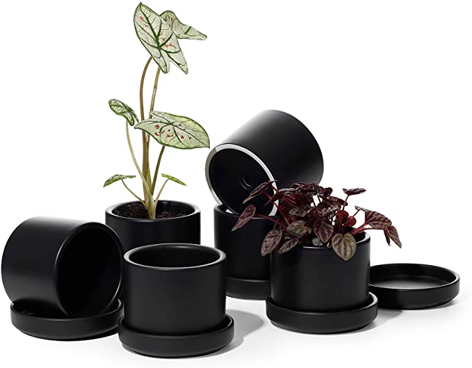 Succulent Planter - POTEY 3.5 Inch Small Cylinder Ceramic Plant Pots with Drainage Holes and Trays for House Plant, Modern Home Decor - 800, Black, Set of 6