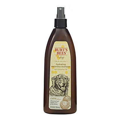 Burt's Bees for Dogs Care Plus  All-Natural Hydrating Waterless Shampoo Spray with Coconut Oil | Best Dry Shampoo for Dogs, 10 ounces