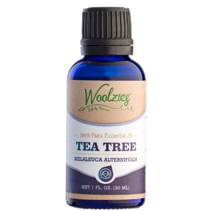 Woolzies 100% Pure Tea Tree Essential Oil, Antiseptic Theraputic Grade, 1 fl oz.