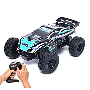 Rabing RC Car 1/24 Scale 15km/h Radio Controlled Electric Vehicle 2WD Off-road for Kids