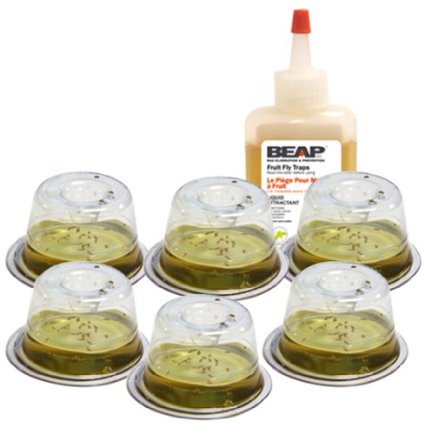 BEAPCO 6-Pack Drop-Ins Fruit Fly Traps