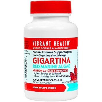 Vibrant Health - Gigartina RMA 250 mg, Natural Immune Support Agent, 120 count