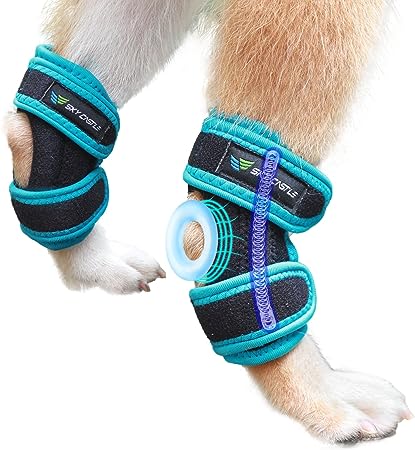Dog knee brace for torn acl hind leg,Dog leg braces for back leg,Adjustable hip brace for dogs,Stable support dog acl knee brace hind leg,Breathable dog leg sleeve helps protect joint pain,1 Pair