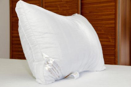 Hotel Quality Down Alternative Pillow by Duck and Goose Co with White Piping Pattern One Pack Standard