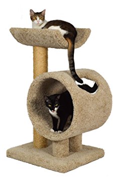 Molly and Friends Two-Tier Scratching Post Furniture