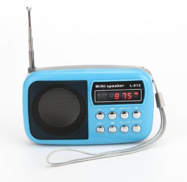 Dewant® Mini Digital Portable MP3 Music Player with Micro SD/TF USB Disk Radio Speaker. (L012 Blue)