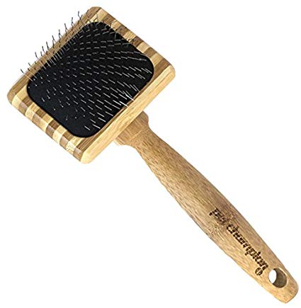 Pet Champion PTBBCOMBO 2 Sided Combo All Natural Bristle Bamboo Pet Brush, Large, Brown