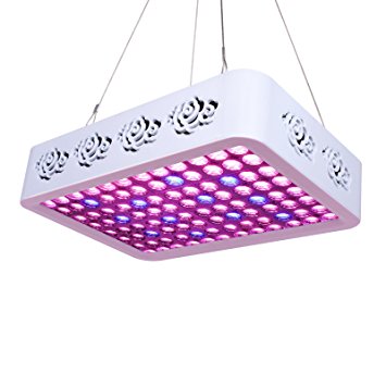 TOPLANET Reflector 300W Grow Light LED Plant Lamp Full Spectrum Light Red Blue Lighting for Indoor/ Grow Box /Greenhouse Vegetable Growth