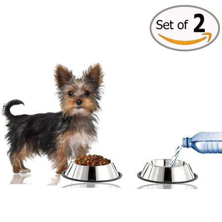 GPET Dog Bowl with Rubber BaseStainless Steel 16 OunceSet of 2