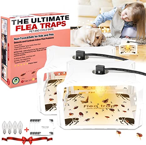 Flea Traps for Inside Your Home with Light Refills, Flea Killer for House Sticky Dome for Cat and Dog, Insect Killer Pest Control Trapper Pad with Glue Discs Odorless Safe and Natural Treatment（2Pack）