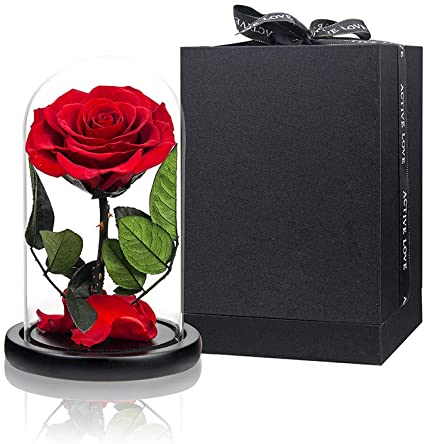 Preserved Rose Red Rose in Glass Dome Eternal Roses Preserved Flowers, for Her Birthday Gifts for Wife Christmas Day Gifts
