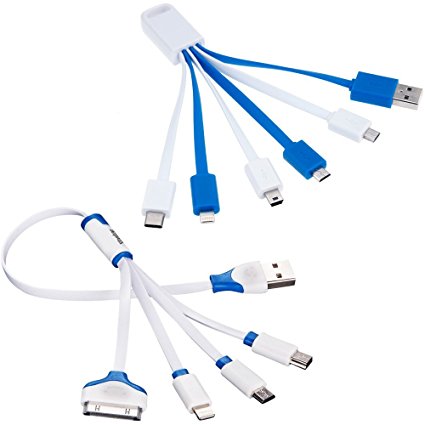 Vastar 2 Sets 4-in-1 and 6-in-1 Multiple USB Charging Cable Adapter Connector with 8 Pin Lighting/30 Pin / Micro USB/Type C/Mini USB Ports for iPhone6,5,4,iPad 4,3,2,Air,Galaxy S4,S5,Nexus 5,and More