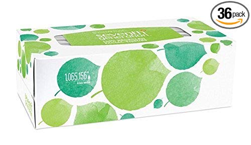 Seventh Generation Facial Tissue, 2-Ply Sheets, 175-Count Boxes (Pack of 36)