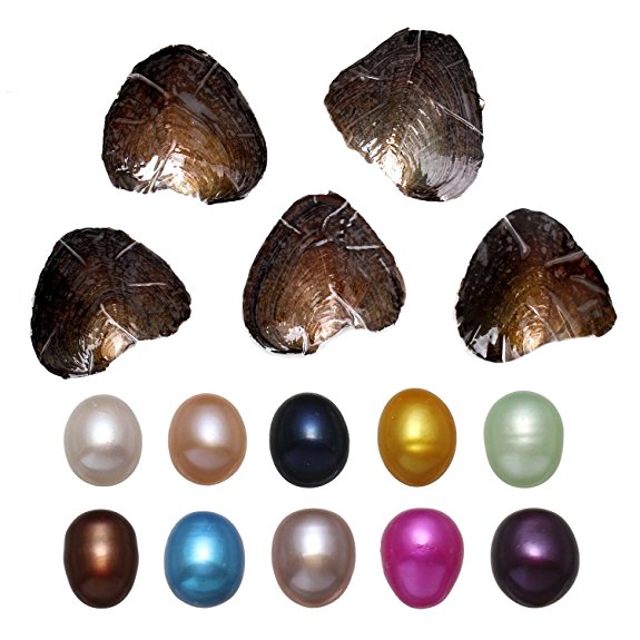 10PC Freshwater Cultured Love Wish Pearl Oyster with Pearl Inside Ten Colors (9-9.5mm)