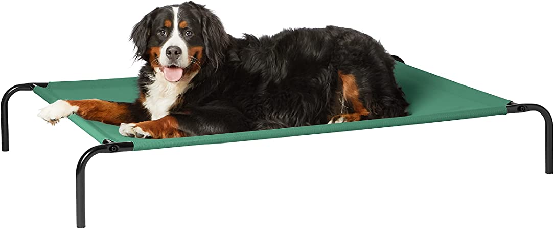 AmazonBasics Extra Large Elevated Cooling Pet Dog Cot Bed - 60 x 37 x 9 Inches, Green