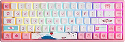 Akko World Tour Tokyo R2 65% 68-Key RGB Hot-swappable Mechanical Gaming Keyboard, 2.4G Wireless/Bluetooth/Wired with PBT Dye-Sub Keycaps for Mac & Win (3068B Plus, Akko Jelly Pink Switches)