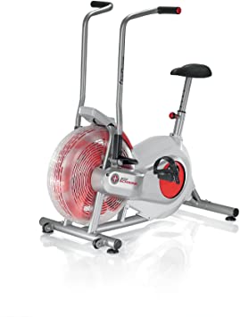 Schwinn AD2 Airdyne Exercise Bike