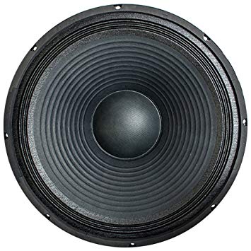 Seismic Audio - 18" Raw Subwoofer/Woofer/Speaker - PA DJ Pro Audio Replacement