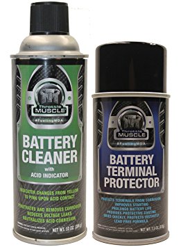 Throttle Muscle TM2548 - Battery Cleaner with Acid Indicator and Terminal Protector Package