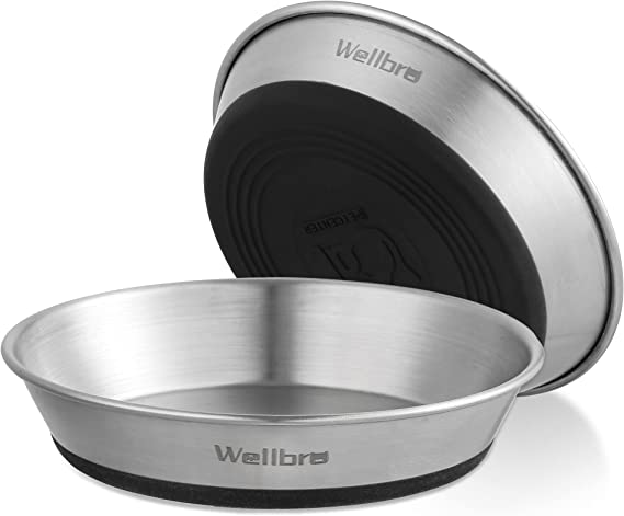 Wellbro Cat Bowls, 2 Pcs Stainless Steel Cat Bowls for Food and Water, Whisker Fatigue Shallow Non-Slip Cat Dishes Plates for Small Dog Puppies Cats