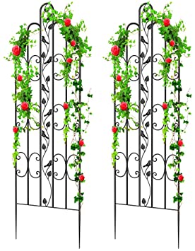 Amagabeli 2 Pack Large Garden Trellis for Climbing Plants 71” x 21” Heavy Duty Rustproof Black Iron Plant Trellis for Potted Plant Support Tall Wall Metal Trellis for Rose Vine Vegetable Cucumber GT01