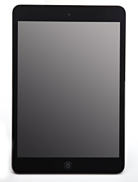 Apple iPad mini MD534LL/A (16GB, Wi-Fi   AT&T 4G, Black)