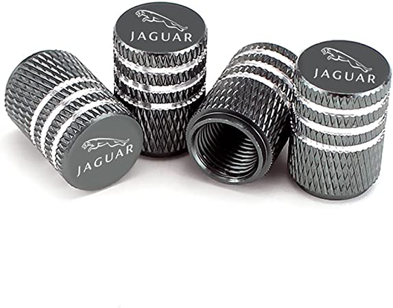 Hisport Fit Jaguar Stem Cap 4pcs Universal Car Tire Valve Stem Caps Air Cover Car Accessories Laser Logo Gray Stem Cover