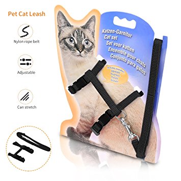 Airsspu Cat Harness Adjustable Nylon Strap Collar With Cat Leash, For Cat and Small Pet Easy Soft Walking Black